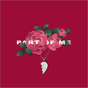 精品成人日B视频
